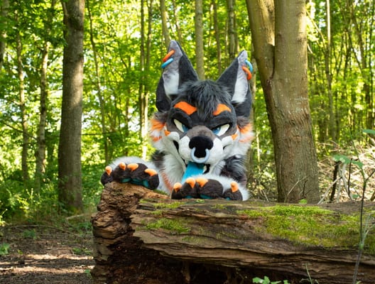 Ethyos peeking over a mossy log in the woods